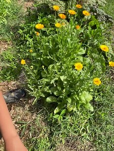 9.9K views · 21 reactions | Crafty Gemini on Reels | Facebook