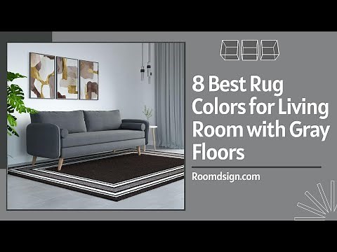 Rug Ideas for Living Room with Gray Flooring (8 Elegant Options)