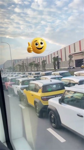 Ấn tượng hàng ngàn chiếc VF3 trải dài hàng cây số chờ đến tay khách hàng