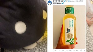 见到中国のPUPA激动起舞的Deemo.avi