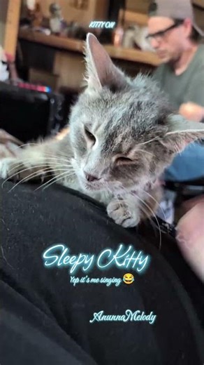 Sleepy Kitty Song