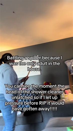 #spider #adultingishard #ohno