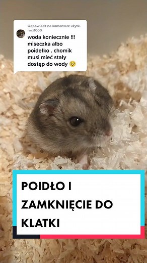 Co jeszcze mogę zmienić w diecie chomika?