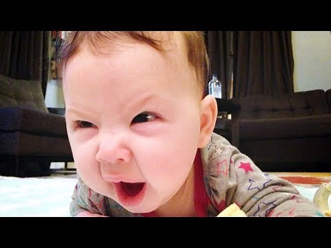 Cute Baby Says No No Compilation - Cute Funny Video