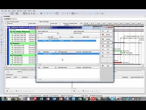 Primavera P6 Critical Indicator Filter