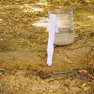 557K views · 695 reactions | Astuces et gadgets pour le camping qui te sauveront dans n'importe quelle situation: | Brico Enfants | Facebook