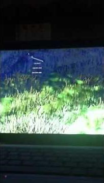 How to get rid of effect rings and physic gun beam in gmod