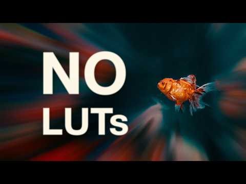 The Highest Level of Color Grading — No LUTs, No Plugins