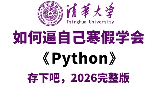 【全600集】这绝对是2026最全最细的Python全套教学视频，从零基础入门到Python精通，学完即可就业！别走弯路了，寒假学这一套就够了！
