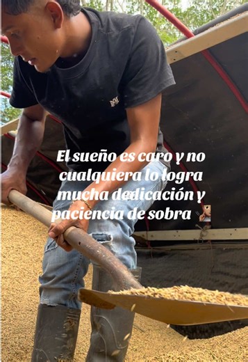 Videos de Camilo Peña (@camilo.pena2) con “sonido original - Rami Lyrics”