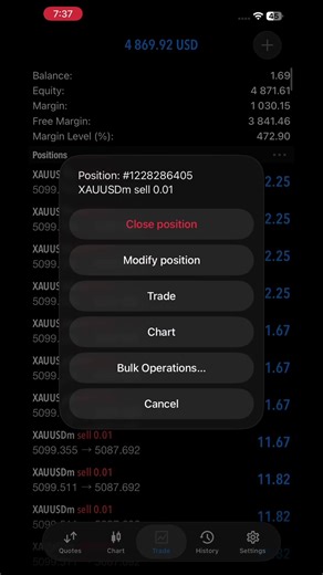 Live Forex Trading Session Insights
