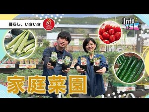 ジュンテンドー TSKさんいん中央テレビ「家庭菜園に挑戦してみよう！〜珍しい野菜編〜」
