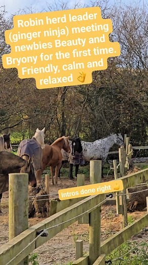 1.3K views · 17 reactions | It only seems right to do Episode 5 as...