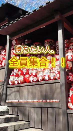 人生で勝ちたい人は全員集合！❤️‍🔥「勝尾寺」【BUJ】