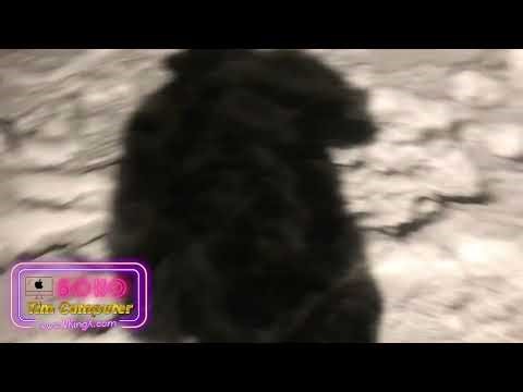 Tim Stroy New York 2025