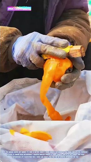 The Season of Persimmon: Making Dried Persimmons