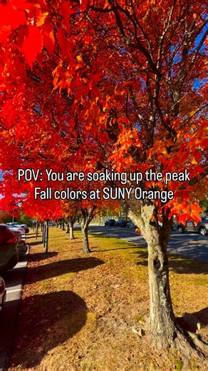Imagine being able to call this your campus?🍂 Applications for the Spring 2026 semester are now open. Get started today! (🔗 in bio) #sunyorange #fall2025 #suny | Orange County Community College - SUNY Orange