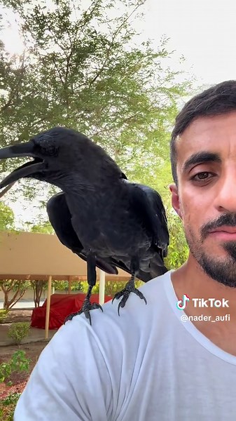 ‏A.I.? No. Odin is real.. and always chooses to come when called!🖤