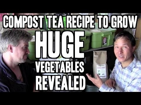 Compost Tea Recipe to Grow BIG Vegetables Revealed