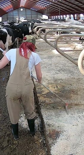 Girl cleans the manure in the stem for the cows