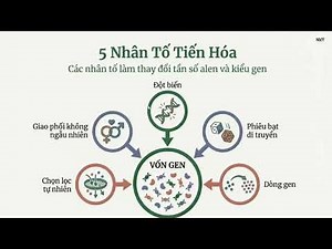 Lesson 21.1. Microevolution and Evolutionary Factors