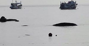 Video by Peggy Anke on Pexels