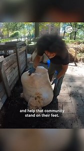 Yellowstone National Park is currently closed due to a ‘record flood event.’ Firsthand footage captured the unprecedented conditions: | NowThis
