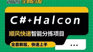 C#+Halcon顺风快递智能分拣项目实战，零到实战落地！(零基础教程/机器视觉/识别/安装/深度学习/缺钱检测/技术/图像处理）B1428