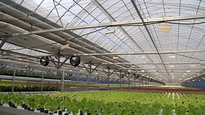 51K views · 2.8K reactions | Looking forward to our 10th course which starts on the 6th October! Even if you're a raw beginner, we'll train you up over 8-Weeks to provide all the fish and healthy plants you'll need to feed your family. From small to large, this is the course that will inspire you to start your own system the right way! | Aquaponics Design Course | Facebook