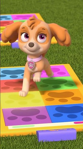 Skye does the pup pup boogie dance! 🐾 #shorts