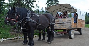 Black Diamond Covered Wagon Tour