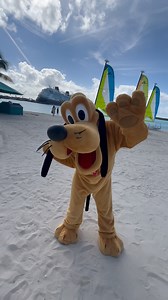 Pluto enjoying the sunny weather at Disney Castaway Cay! 🏝️ #DisneyCruiseLine #SmallWorldVacations | Small World Vacations