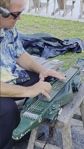 How To Play Low Down Blues Slide On A 6 String Alligator Guitar
