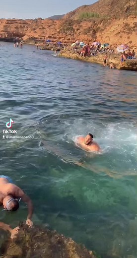 Man Enjoys Day at Beach Swimming and Diving
