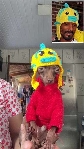 O que você achou? Eu amei e vc? Olha em quem me expirei! Kkkkkkk #yoshi #tiktok #videosengraçadostiktok