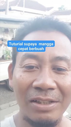 Mangga yang gak mau berbuah #tutorial #gussungkar #reel #vidioviral | Gussungkar