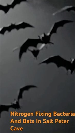 Cave in Nature Bridge #nature #naturevibes #cave #viral