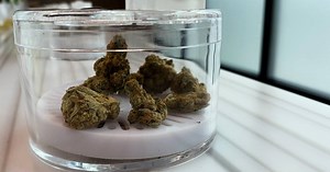 Traverse City Pot Shops Ready for Recreational Marijuana