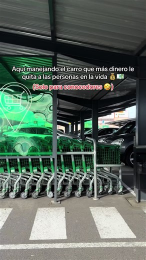 El carro más caro del mundo 🌍💶💰#supermercado #mercadona #carro #funn #paratiktok