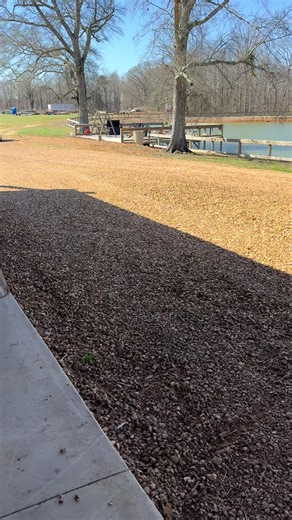 Just giving the calves a ride to do their cow cuddles😍 #cowcuddles #calftherapy #minimoos #fyp