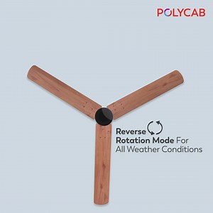 Rethink what all a fan can do with Polycab Silencio Mini Energy Saving Fan. It comes with a reverse rotation mode that changes the direction of the fan spin, giving you a gentle air circulation with every rotation. Visit the link to know more: https://bit.ly/3tcwr5E #Polycab #IdeasConnected #BLDCFans #PolycabSilencioMini | Polycab India Limited