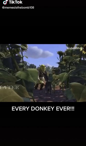 Shrek do be yelling at Donkey a lot 😂😂😂 #fyp #newtotiktok #foryou #foryoupage #shrek #donkey #funny #fypシ #memes