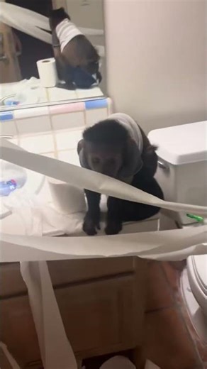 jet 2 holiday ✈️