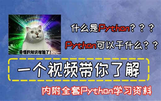 Python是什么？Python能干什么？一个视频带你了解清楚，内附全套资料！
