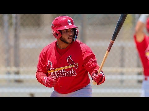 Rainiel Rodriguez 2025 Minor League Highlights!