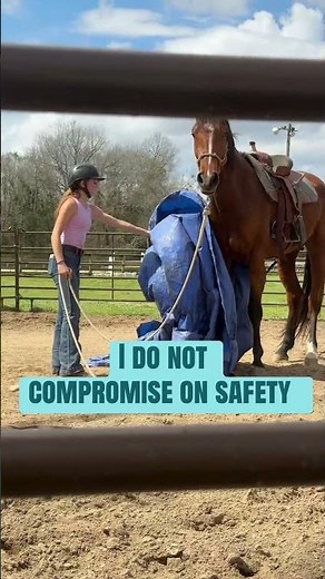 Sky- desensitization with tarp work #horsetraining