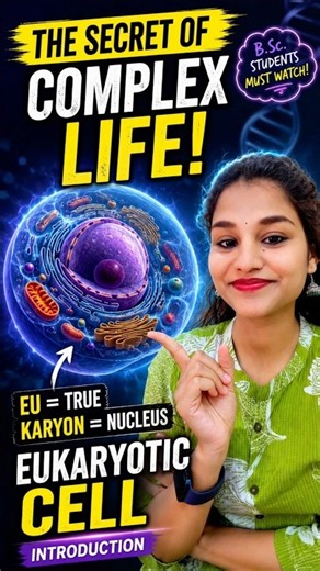 What Is a Eukaryotic Cell? | Cell Biology#eukaryotic #cellbiology #neet #biology #biotechnology
