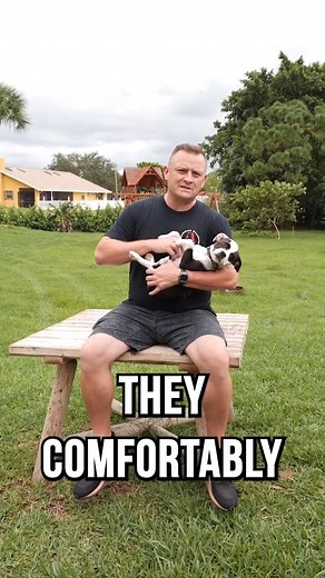 1.5M views · 54K reactions | One of the BEST ways to pick a new puppy #dog #dogsoftiktok #dogs #doglover #DogTraining #dogtrainer #puppy #puppylo | Pet Dogs | Facebook