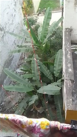 धरती से गगन तक ढूंढ लिया ना जाने मेरा राम कहां गए