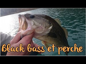 Peche de la perche et du black bass aux leurres